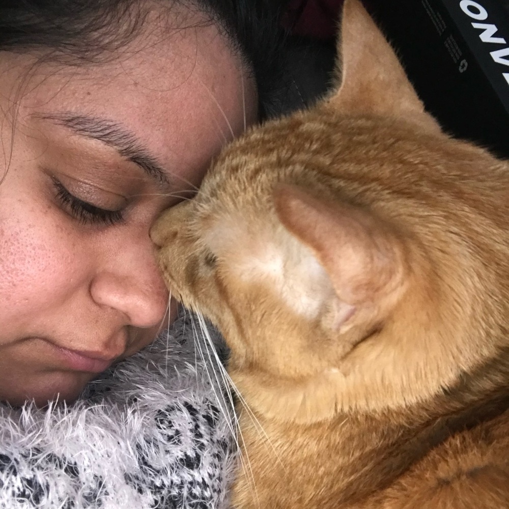 Meet your Posher, Roshni